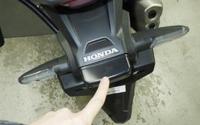 HONDA NX400L 2024 NC66