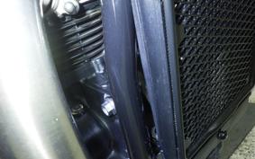 TRIUMPH BONNEVILLE T100 2022