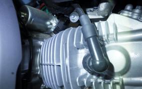 HONDA MONKEY 125 2024 JB05