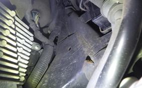 HONDA LEAD 125 2025 JF45