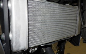 HONDA CB250RA 2024 MC52