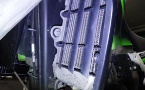 KAWASAKI KLX250 Gen.2 2024 LX250S