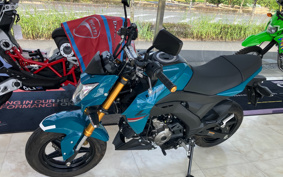 KAWASAKI Z125 PRO BR125H