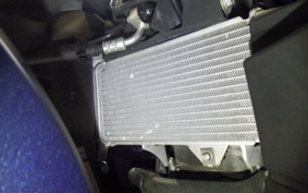 YAMAHA YZF-R15 2021 RG86J