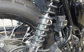KAWASAKI W800 CAFE 2022 EJ800E