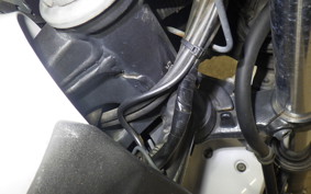 KAWASAKI Z250 ER250C