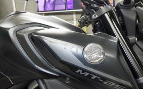 YAMAHA MT-25 A RG74J