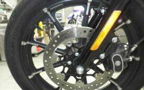 HARLEY XL883N 2017