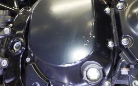 KAWASAKI Z900RS 2019 ZR900C