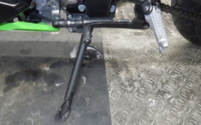KAWASAKI ZX-4RR 2023 ZX400P