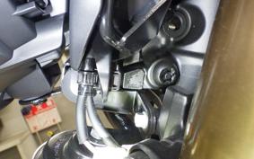 YAMAHA XSR900 2025 RN96J