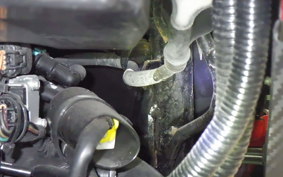 SUZUKI SWISH 125 2025 DV12B