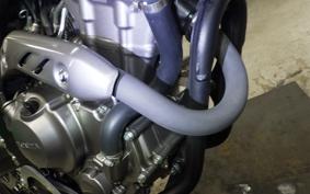 HONDA CRF250L 2008 MD47