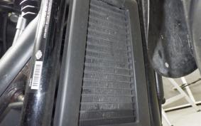 HARLEY FXBB1750 2019