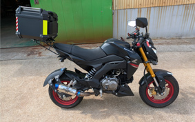 KAWASAKI Z125 PRO BR125H
