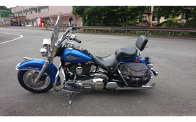 HARLEY FLSTC 1996 BJL