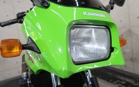 KAWASAKI GPZ900R NINJA 2002 00A085