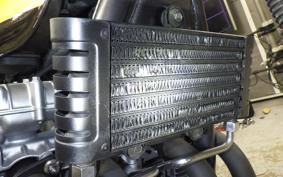 KAWASAKI ZEPHYR 750 2026 ZR750C