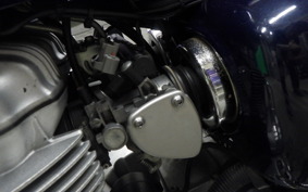 KAWASAKI W800 2014 EJ800A