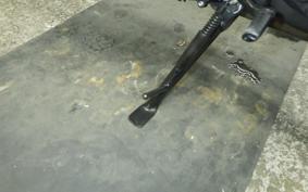 YAMAHA MT-09 SP 2024 RN87J