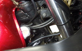 KAWASAKI GPZ900R NINJA 1998 ZX900A