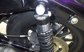 HARLEY XL883N 2015