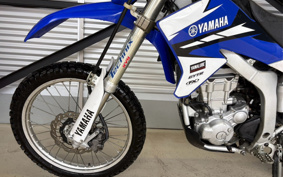 YAMAHA WR250R DG15J