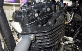 OTHER MUTT250 2021
