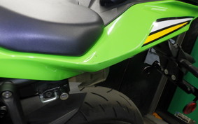 KAWASAKI ZX-4RR 2024 ZX400P