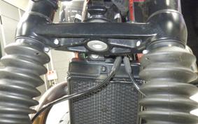 TRIUMPH SPEED TWIN 2020