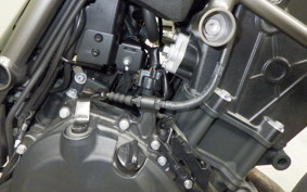 KAWASAKI ELIMINATOR400-3 2024 EL400A