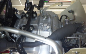 HONDA C50 SUPER CUB AA09