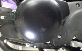 KAWASAKI W175 SE 2024