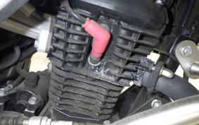 HONDA CB190X 2024