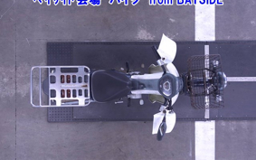 OTHER C110PU LOW 2