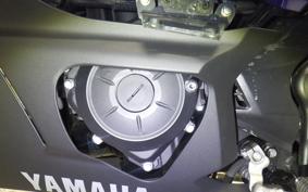 YAMAHA YZF-R25 2022 RG43J
