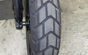 DUCATI SCRAMBLER 2024