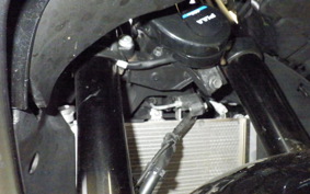 YAMAHA YZF-R25 A RG74J
