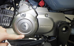HONDA MONKEY 125 2026 JB05