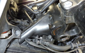 HONDA NX400 2024 NC65