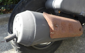 SUZUKI ADDRESS V100 CE11A