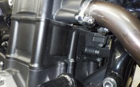 HONDA CB1300SB SUPER BOLDOR SP 2022 SC54