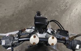 YAMAHA VIRAGO 250 3DM