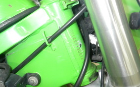 KAWASAKI KLX250 LX250E