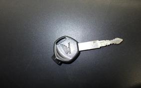 HONDA DUNK 1992 AF74