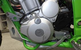 KAWASAKI KLX250 Gen.2 2026 LX250S