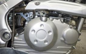 KAWASAKI KLX125 2024 LX125C