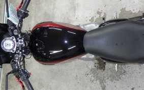 KAWASAKI ESTRELLA RS 2006 BJ250A
