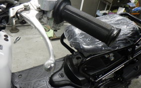 HONDA ZOOMER 2022 AF58