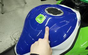 KAWASAKI ZX-4RR 2024 ZX400P